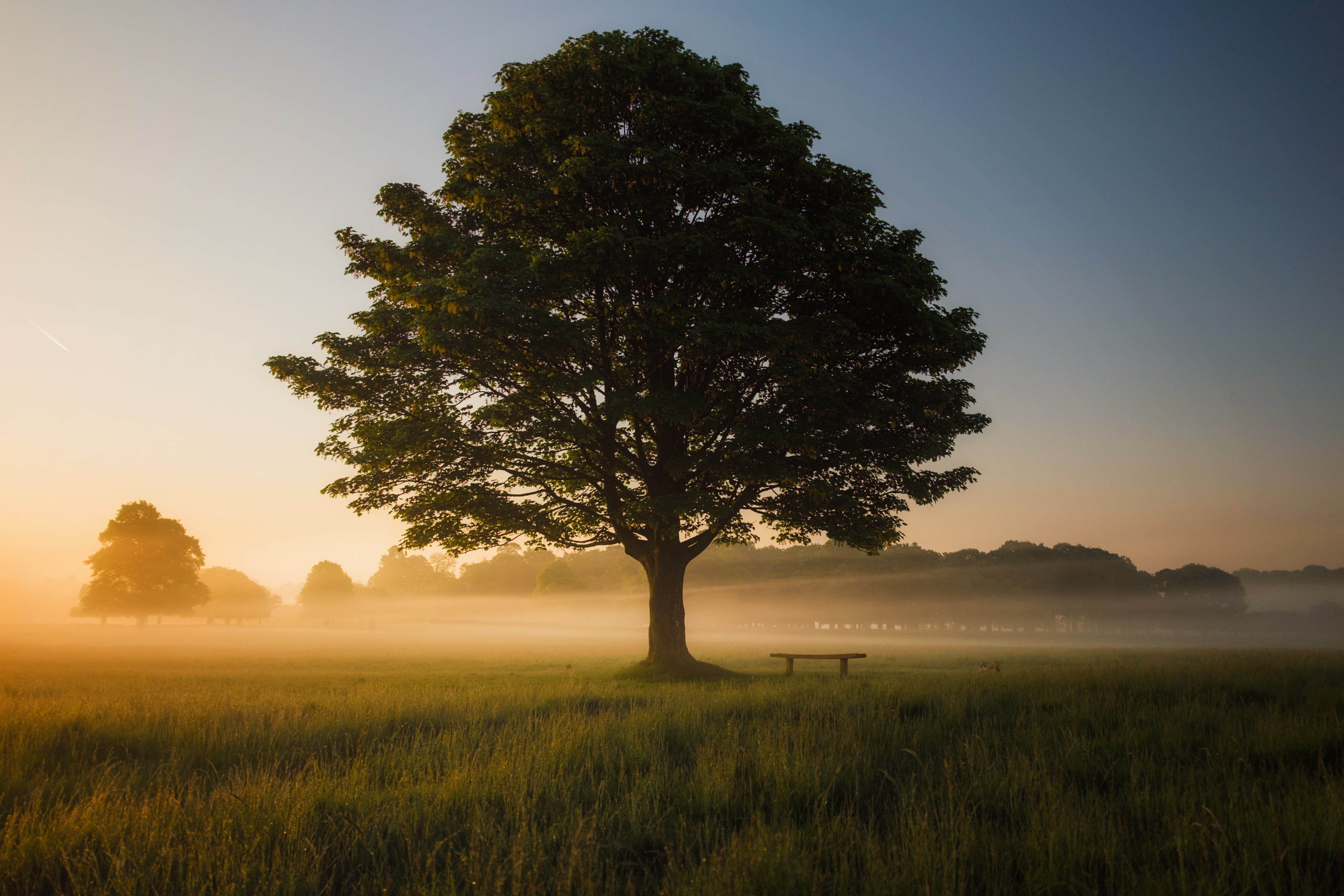 Photo de Simon Wilkes sur Unsplash