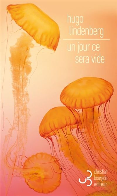Un jour ce sera vide, de Hugo Lindenberg