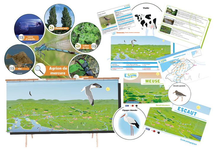 newsletter fleuve