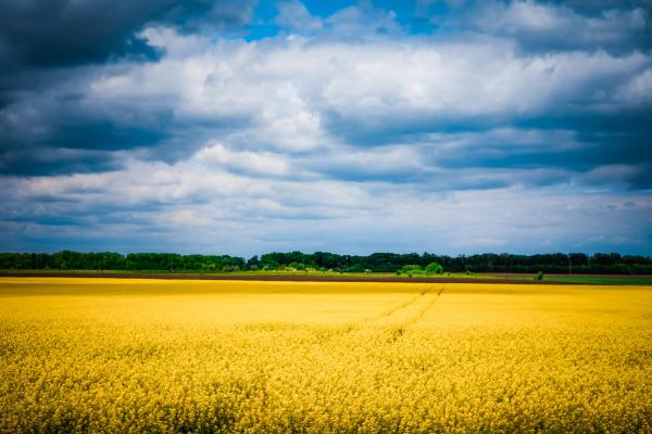 Photo by Olga Subach on Unsplash