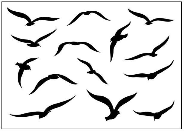 Radio mouette