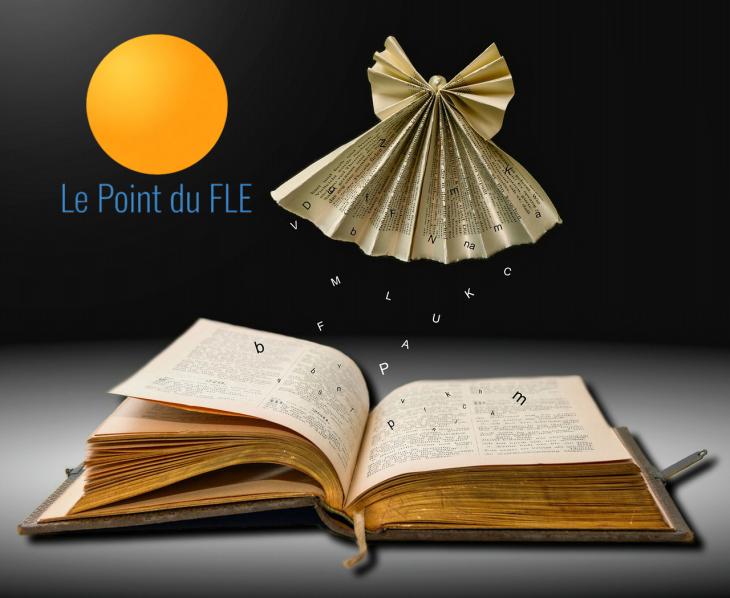 Logo du site Le point du FLE