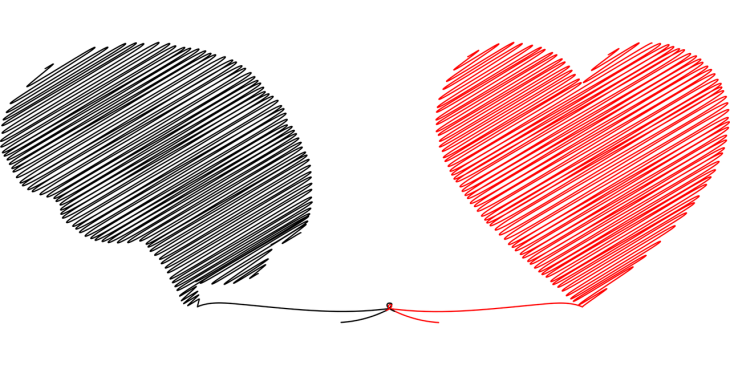 Image d'un coeur et d'un cerveau reliés par un fil