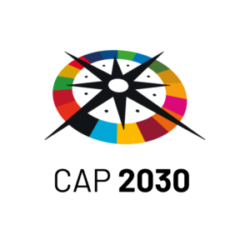Logo Cap 2030