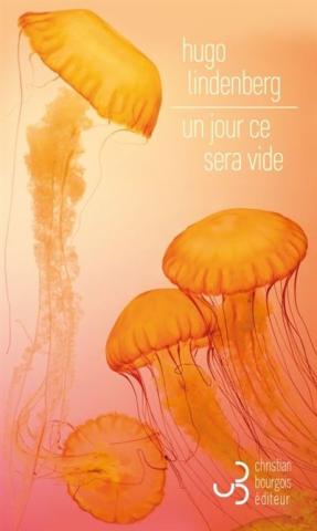 Un jour ce sera vide, de Hugo Lindenberg