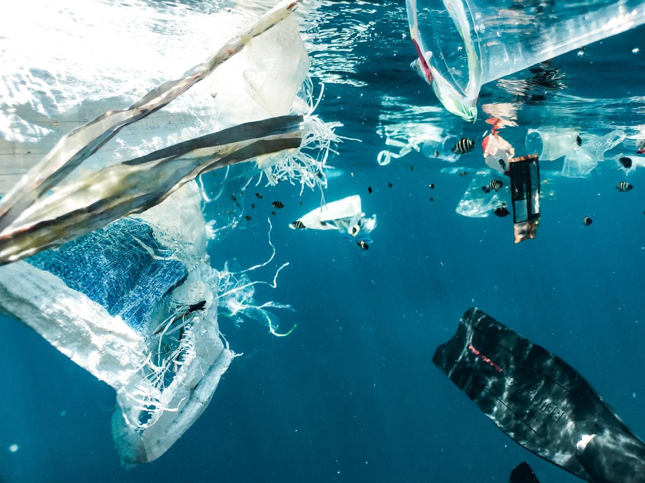 Photo de Naja Bertolt Jensen sur Unsplash ecocide pollution
